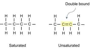 Saturated vs unsaturated fatty acids