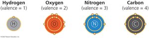 Valences of the major elements of organic molecules