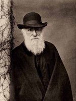 Young Charles Darwin