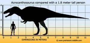 Dinosaur tracks exposed by drought