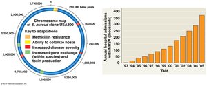 Drug-resistant bacteria and soapberry bug adaptation