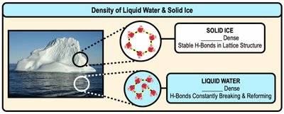 Comparison of density in liquid water and solid ice