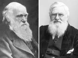 Portraits of Darwin and Wallace