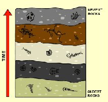 Strata diagram showing fossil layers