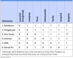 Test your understanding: character table
