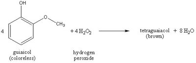 Diagram of enzyme specificity and induced fit model