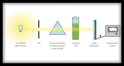 Diagram showing denaturation and renaturation of a protein