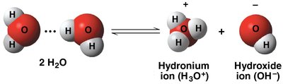 Dissociation of water molecules into hydronium and hydroxide ions