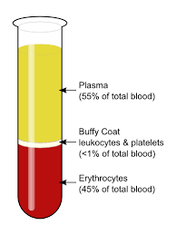 Blood composition in a centrifuged tube
