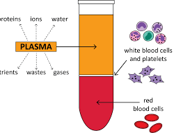 Blood composition and plasma contents