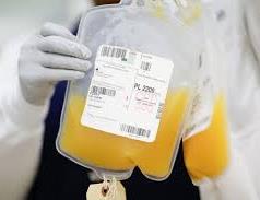 Plasma in a blood bag