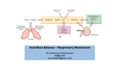 Acid-base balance and respiratory mechanism