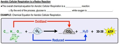 Aerobic cellular respiration is a redox reaction