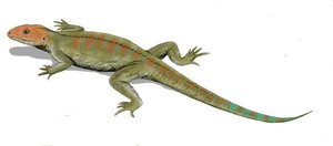 Reconstruction of Hylonomus