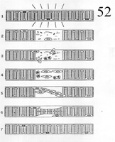 Muscle regeneration sequence: satellite cell activation and myotube formation
