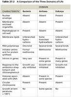Table comparing the three domains of life
