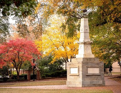 Carotenoids in autumn leaves