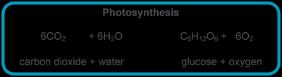 Photosynthesis equation