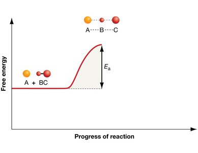 Activation energy diagram showing transition state
