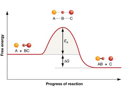 Free energy diagram with activation energy and ΔG