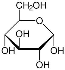 Ring structure of glucose