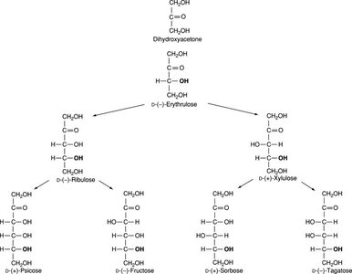 Structures of common ketoses