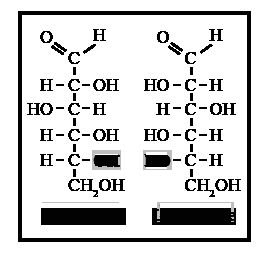 D- and L- isomers of glucose