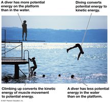 Transformations between potential energy and kinetic energy