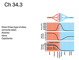 data on blood vessel diameter, velocity, and pressure