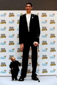 Human height: polygenic inheritance