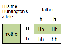 Punnett square for Huntington's disease inheritance