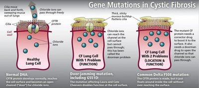 Gene mutations in cystic fibrosis