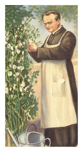 Illustration of Gregor Mendel with pea plants