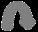 Dihybrid cross chromosome assortment
