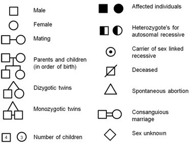 Pedigree chart symbols