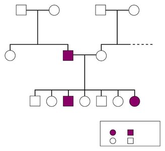 Example of a family pedigree