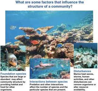 General Biology Study Guide: Community Structure & Diversity | Notes