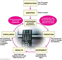 Flowchart of the scientific method using a TV remote example