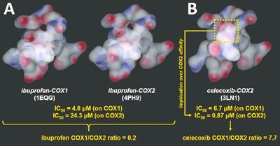 Enantiomers of ibuprofen, showing different spatial arrangements.