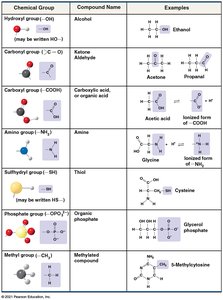 Table of functional groups, their structures, and examples.
