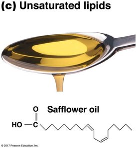 Unsaturated lipids (safflower oil)