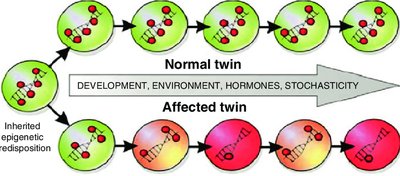 Epigenetic differences in twins
