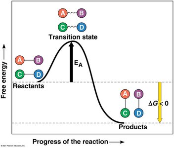 Activation energy diagram