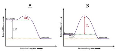 Activation energy with and without enzyme