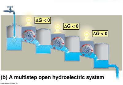 Multistep open hydroelectric system analogy for metabolic pathways