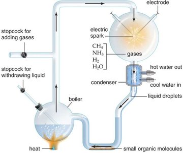 Miller-Urey experiment apparatus