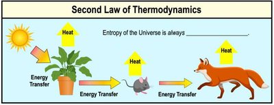Diagram illustrating the second law of thermodynamics in ecosystems