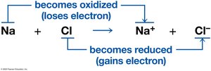 Redox reaction: sodium and chlorine