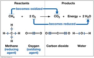 Redox reaction: methane and oxygen