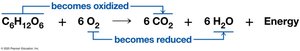 Redox reaction: glucose and oxygen